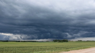 В Ленобласти 29 июня в большинстве районов пройдут дожди