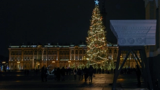 Главная ёлка Петербурга ждёт превращения в часы