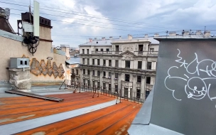 Суд запретил сайт организаторов прогулок по крышам Петербурга