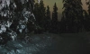 Ночью 9 февраля в Ленобласти местами похолодает до -31 градуса