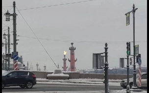 Ростральные колонны зажгли для проверки перед Новым годом