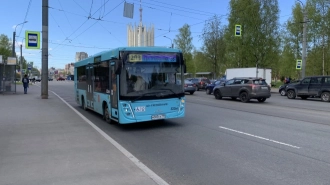 Число "зайцев" начали объявлять в салонах петербургских автобусов