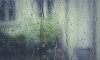 Дожди и грозы ожидаются в Ленобласти 22 мая