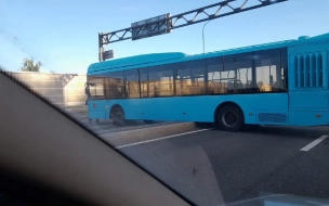 На Ропшинском шоссе лазурный автобус застрял на разделительной полосе и перекрыл проезд