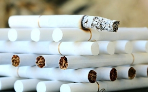 Юрист Дахов напомнил о новых штрафах за перевозку табачной продукции в России с 1 февраля