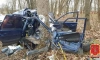 В Гатчине водитель легковушки погиб, врезавшись в дерево