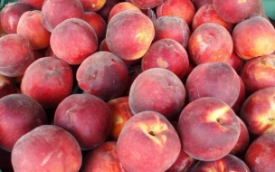 Жителям Петербурга назвали полезные свойства персиков