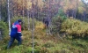 Спасатели вывели трёх человек из леса в Волховском районе