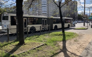 В Петербурге переименуют две остановки общественного транспорта