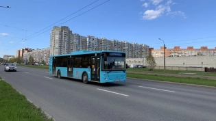 "Летние" автобусные маршруты начали работу в Петербурге