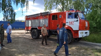 Площадь лесного пожара под Сертолово увеличилась до 2 га