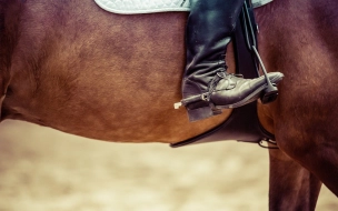 Новый сезон конного спорта стартовал в Петербурге и Ленобласти