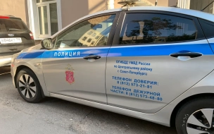 Рецидивист из Ленобласти украл у соседа декоративное оружие на 106 тысяч рублей