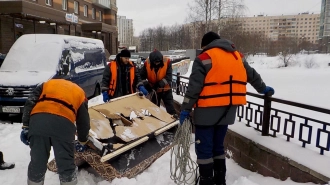 За неделю вывезли более тонны опасных отходов из Петербурга