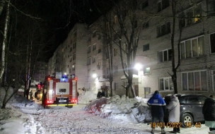 Из-за пожара в Рощино погибли три человека