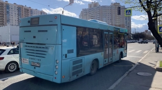 В Петербург поступит 105 дизельных автобусов