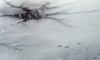 В Приозерске 75-летняя пенсионерка спасла провалившегося под лед мальчика