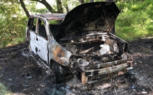 Обгоревшие тела двух жителей Приморья нашли в лесу