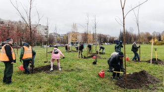 В Петербурге стартует акция по озеленению города