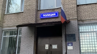Петербургская полиция задержала поджигателя дачного дома под Лугой