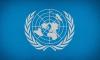 В ЦАР три миротворца ООН погибли в результате нападения