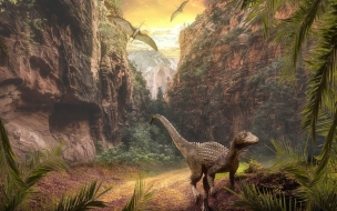 В Китае впервые в мире нашли останки окаменелого динозавра, сидящего на кладке яиц