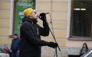 Петербургские депутаты проголосовали за ограничения  для уличных музыкантов
