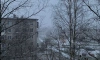 Циклон Sue 15 ноября принесет в Петербург мокрый снег