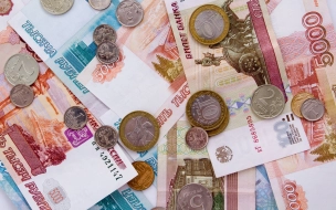 16% петербуржцев признались, что живут "от зарплаты до зарплаты"
