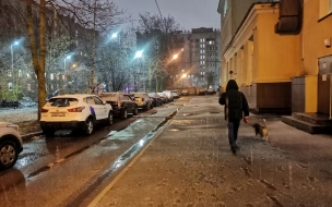 Петербуржцы делятся фотографиями снега в городе