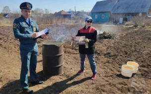 В МЧС перечислили штрафы для дачников Ленобласти за разжигание костров на участках 