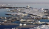 В Кронштадтском районе  спасатели помогли вернуться на сушу более 100 рыбакам, которые вышли на лед Финского залива
