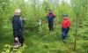 Спасатели  вывели из леса пару грибников в Волховском районе Ленобласти