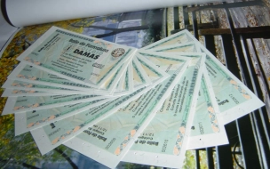Петербуржцам рассказали, как не попасть на удочку билетных мошенников
