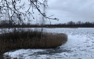 В Ленобласти смягчили ограничительные меры во всех зонах