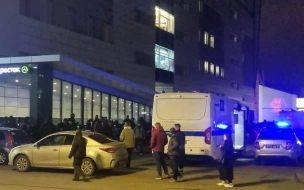 На улице Ефимова произошла драка со стрельбой