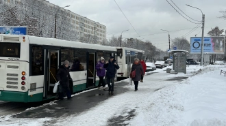 Школьница из Петербурга призналась, что выдумала историю о высадке из автобуса