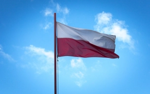 Польша выдала России обвиняемого в заказном убийстве криминального авторитета