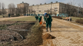 Петербургские коммунальщики расчищают газоны от накопившегося за зиму мусора