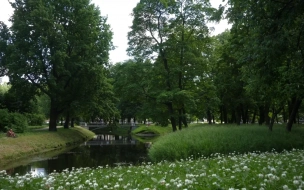 С 24 марта петербургские сады и парки закрываются на просушку