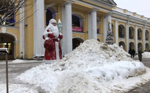 Вице-губернатор Петербурга предложил жителям потерпеть снег на дорогах