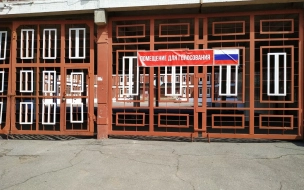 Партия "Новые люди" может выдвинуть на выборы губернатора Петербурга депутата из Калмыкии
