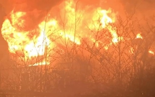 В результате пожаров на новогодних праздниках в Петербурге погибли 9 человек