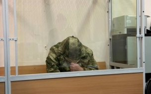 Вину Жилкина в убийстве девятилетнего мальчика из Петербурга подтвердили более 75 экспертиз