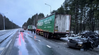 В аварии на трассе "Кола" в Ленобласти погиб 18-летний водитель Skoda