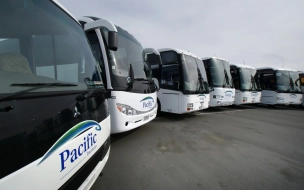 C 14 декабря запустят дополнительные автобусы из Петербурга в Хельсинки