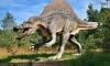 Австралийские ученые определили самый крупный вид динозавров 