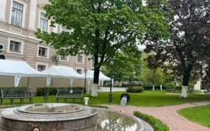 Сад Мариинского дворца открылся для прогулок