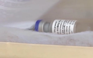 В Петербурге вакцину от коронавируса получили почти 6 тысяч человек
