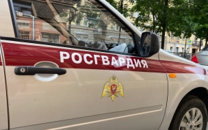 Владелец BMW  влетел в ресторан на Васильевском острове на авто